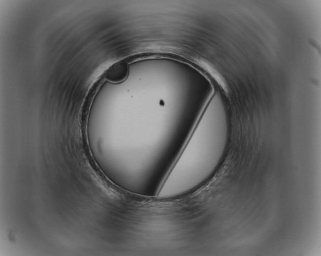 X0000091640972200708230945