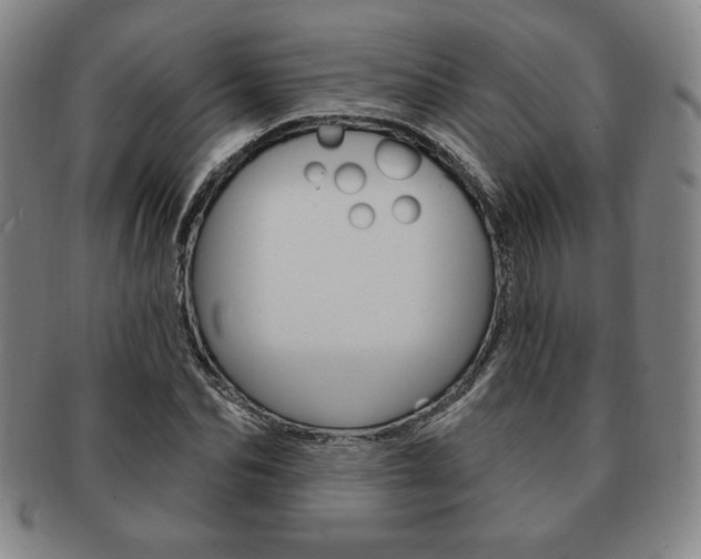 X0000091640974200708230945