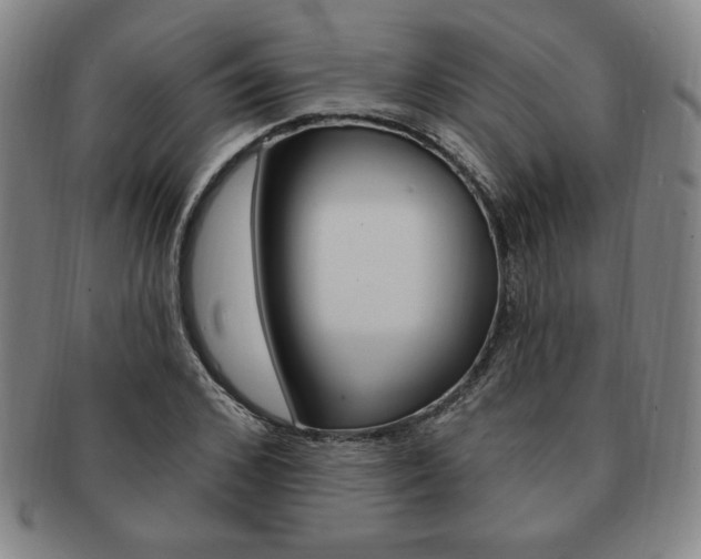 X0000091640976200708230945