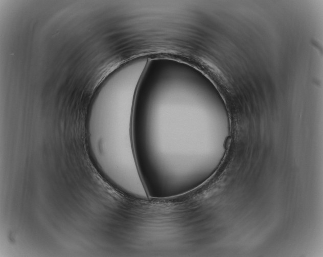 X0000091640977200708230945