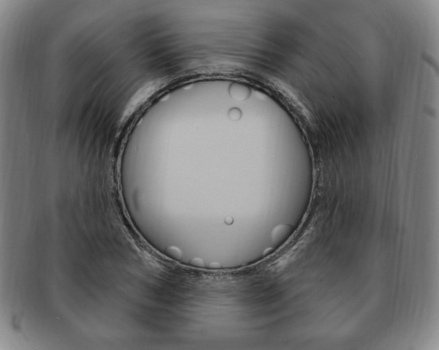 X0000091640978200708230944