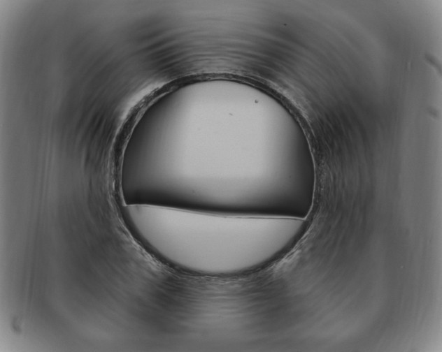 X0000091640979200708230944