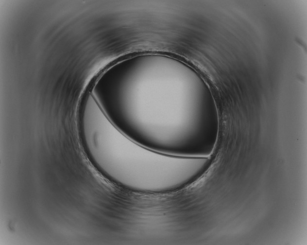 X0000091640981200708230944