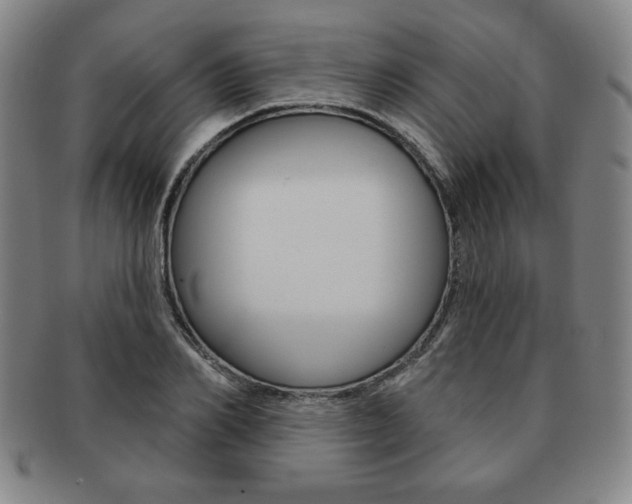X0000091640982200708230944