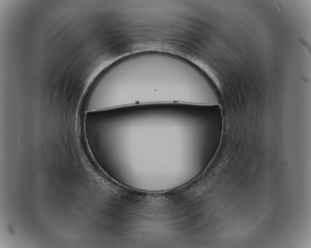 X0000091640983200708230944
