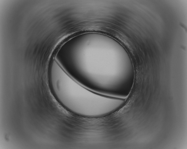 X0000091640984200708230944