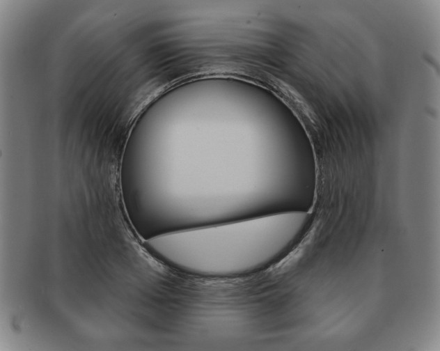 X0000091640985200708230944