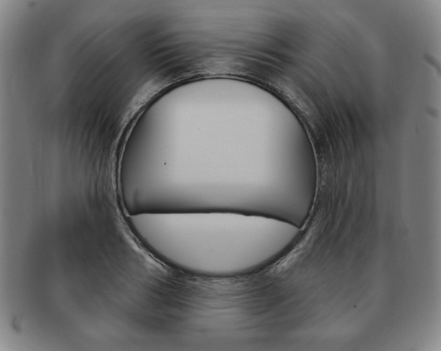 X0000091640986200708230944