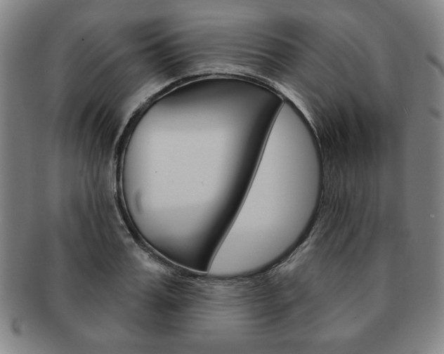 X0000091640987200708230944