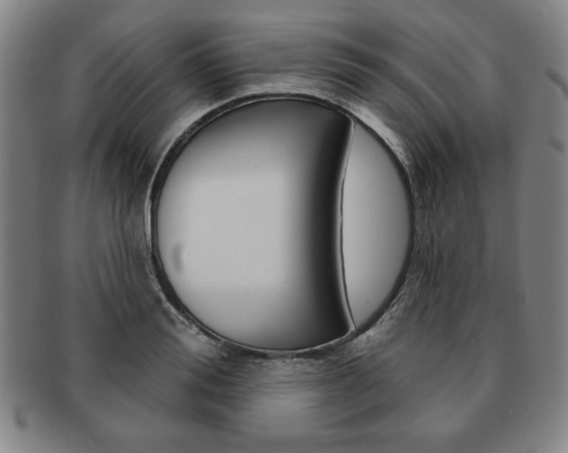 X0000091640988200708230944