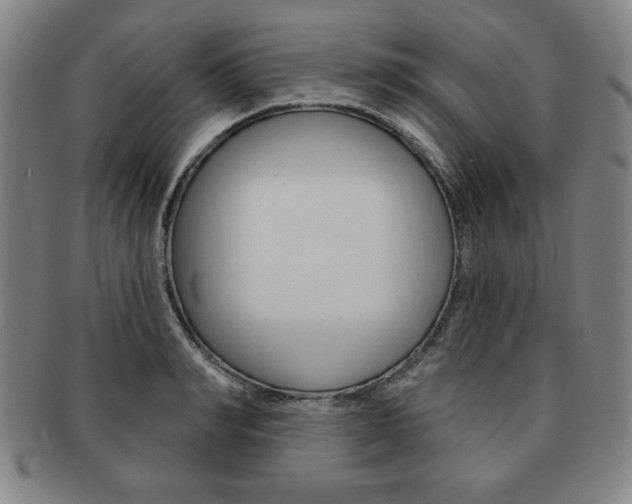 X0000091640990200708230944