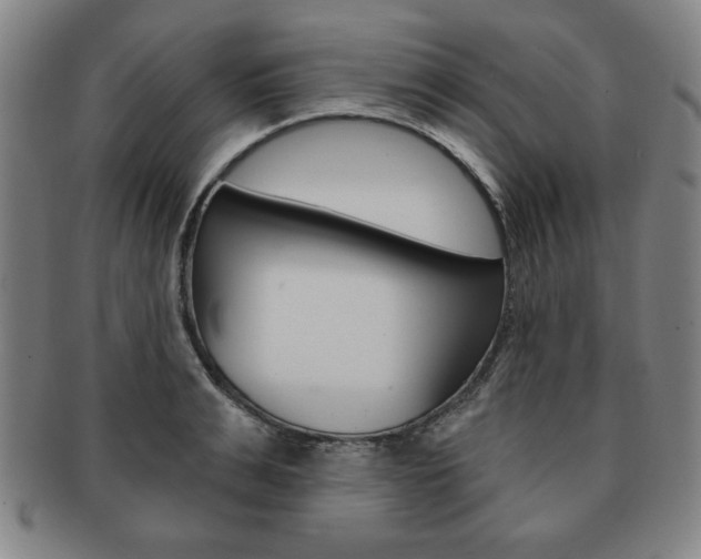 X0000091640991200708230944