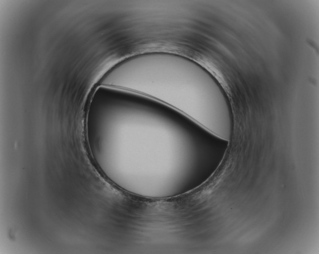 X0000091640992200708230944