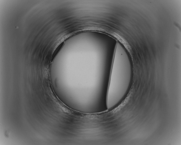 X0000091640993200708230944