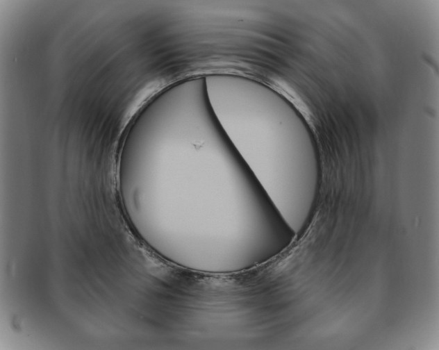 X0000091640994200708230944