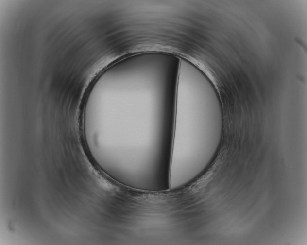 X0000091640995200708230944