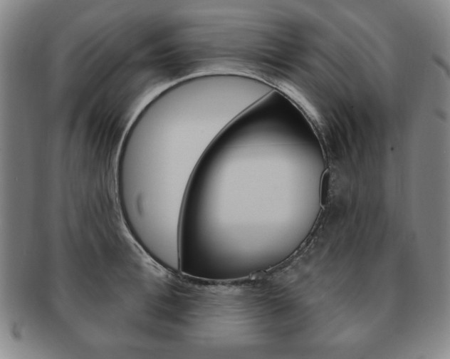X0000091640996200708230944