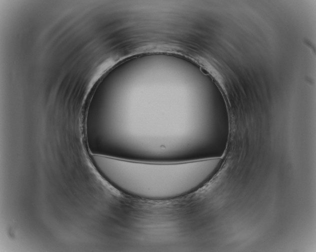 X0000091640997200708230944