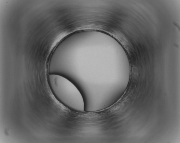 X0000091640998200708230944