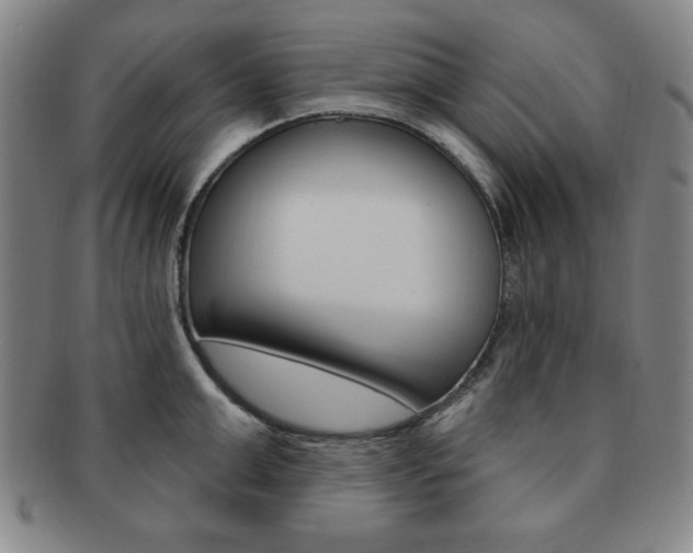 X0000091640999200708230944