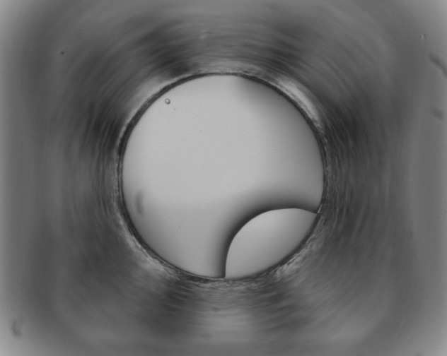 X0000091641000200708230944
