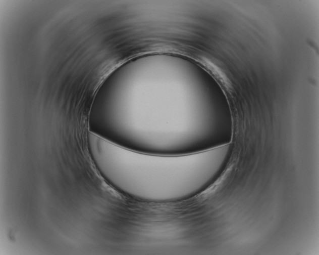X0000091641001200708230944