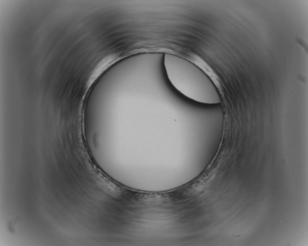 X0000091641002200708230944