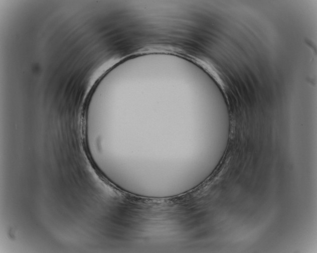 X0000091641003200708230944