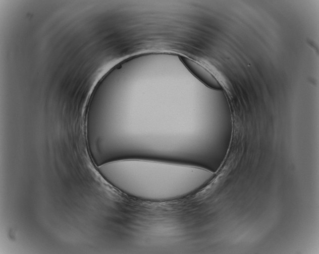 X0000091641004200708230944