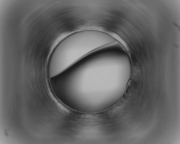 X0000091641005200708230944