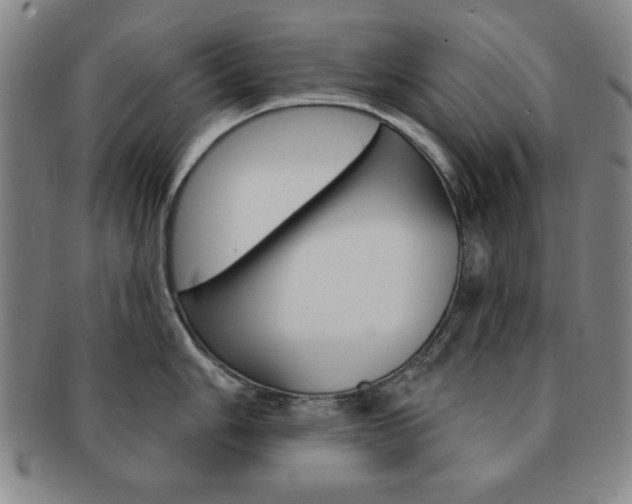 X0000091641006200708230944