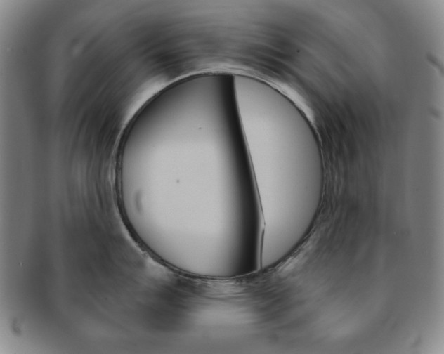 X0000091641007200708230944
