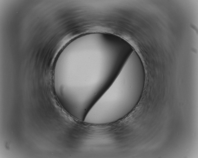 X0000091641008200708230944