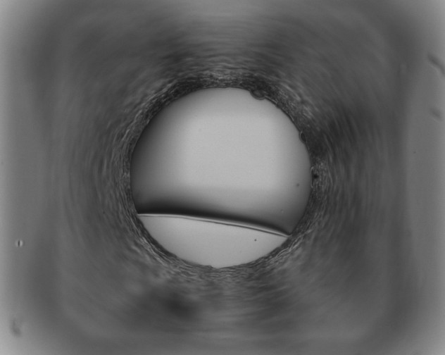 X0000091641009200708230943