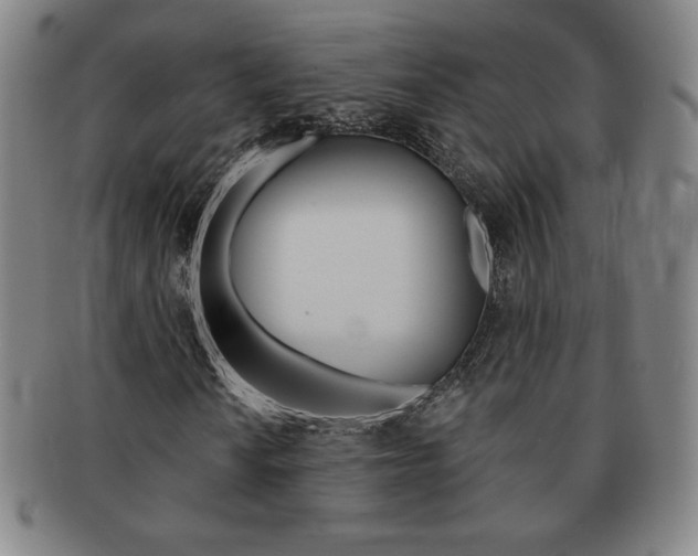 X0000091641010200708230943