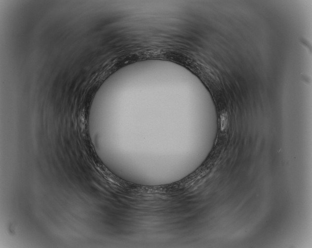 X0000091641011200708230943