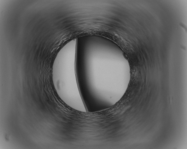 X0000091641012200708230943