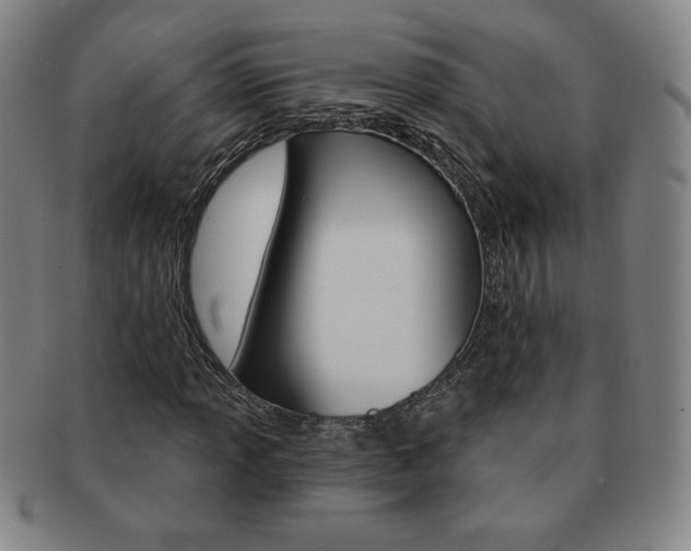 X0000091641013200708230943