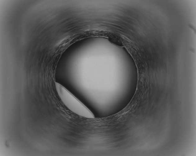 X0000091641014200708230943