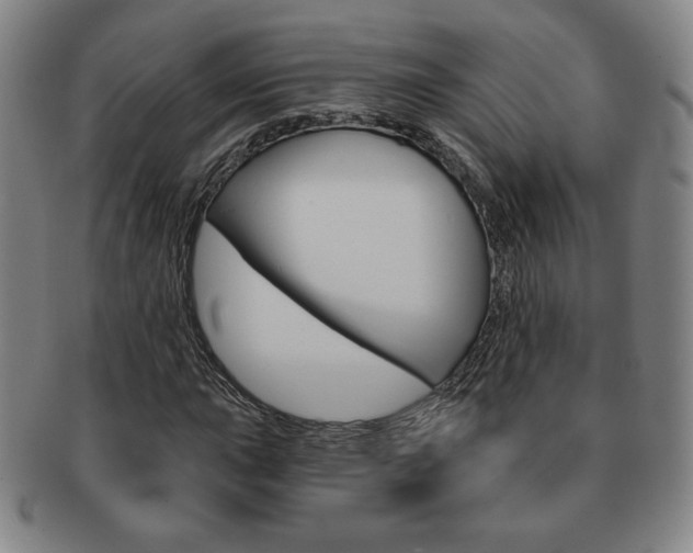 X0000091641015200708230943