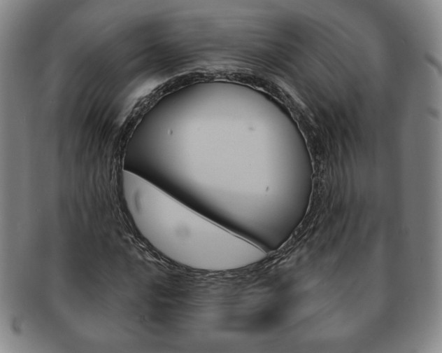 X0000091641016200708230943