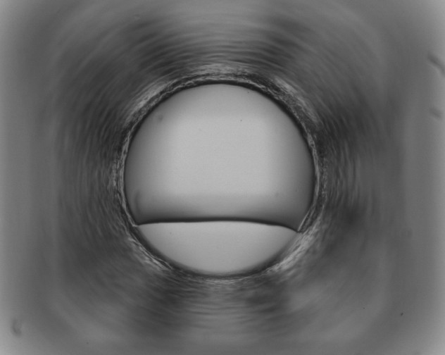 X0000091641017200708230943