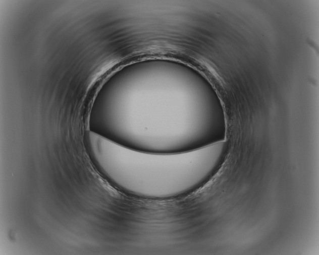 X0000091641018200708230943