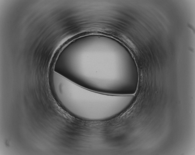 X0000091641020200708230943