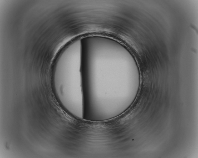 X0000091641021200708230943