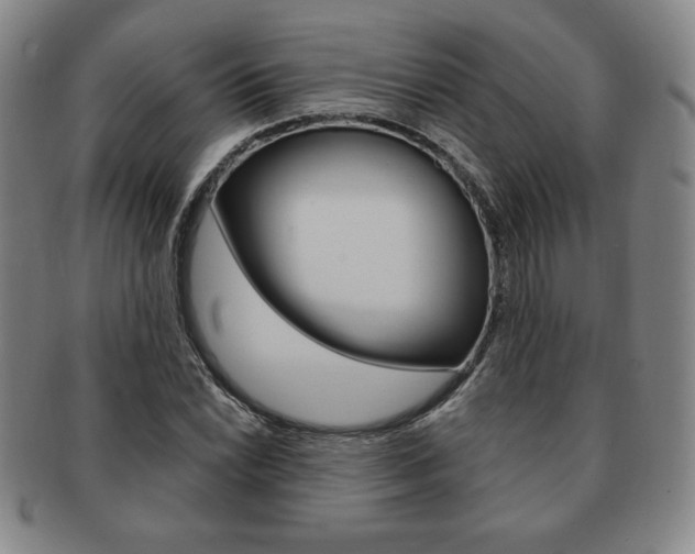 X0000091641022200708230943