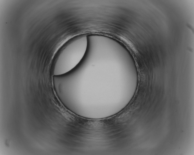 X0000091641023200708230943