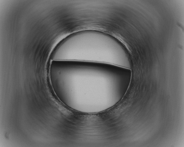 X0000091641024200708230943