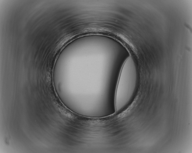 X0000091641025200708230943