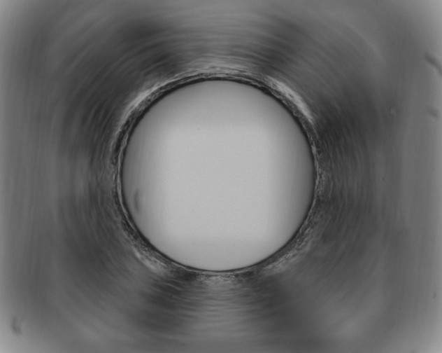 X0000091641027200708230944